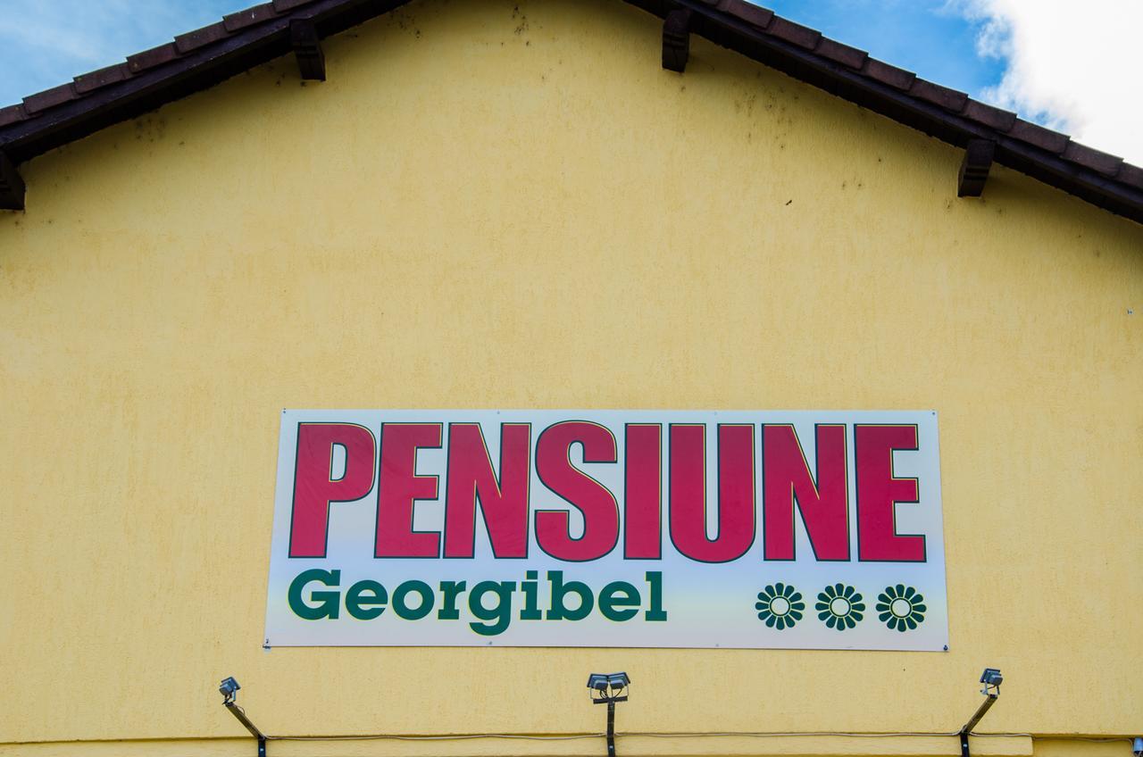 Pensiunea Georgibel เดวา ภายนอก รูปภาพ